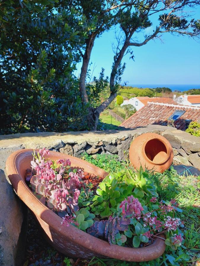 Casas Do Tareco Villa Biscoitos  ภายนอก รูปภาพ